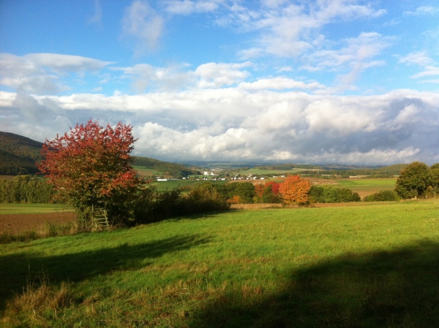 Blick vom Esseberg ins Salzbödetal