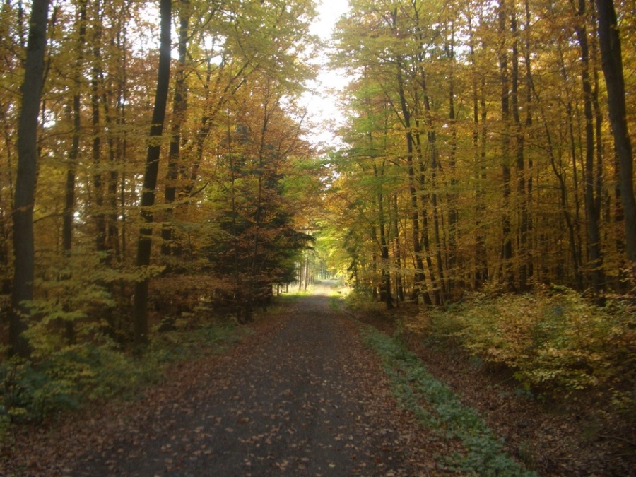 Impressionen aus unserer Heimat Lohra