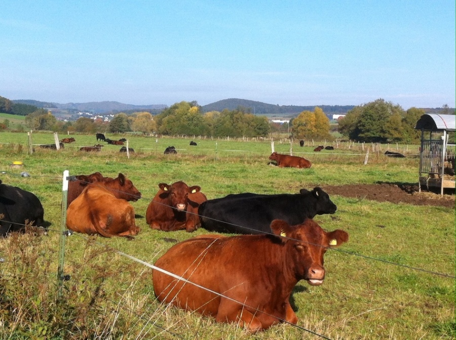 Impressionen aus unserer Heimat Lohra