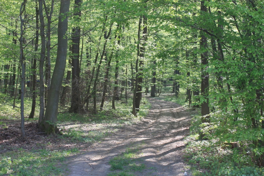 Impressionen aus unserer Heimat Lohra