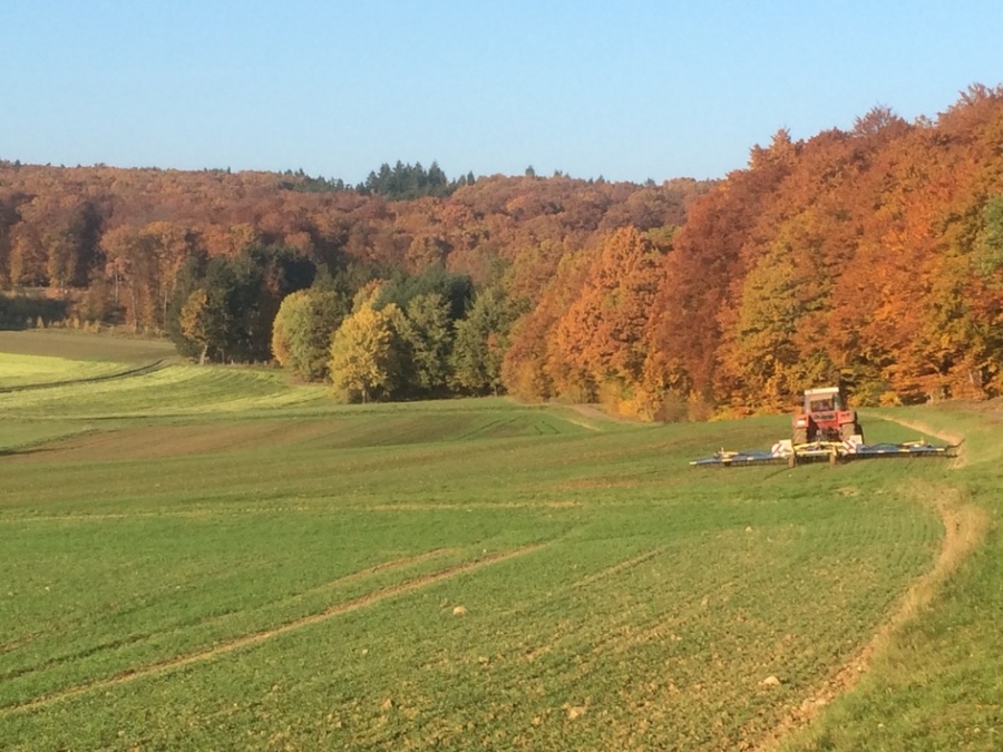 Impressionen aus unserer Heimat Lohra