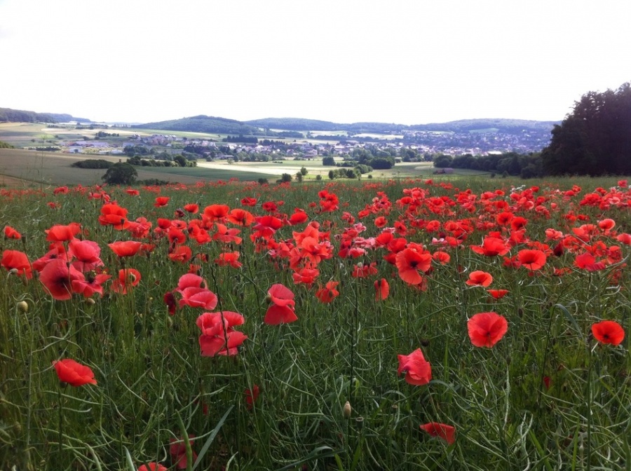 Impressionen aus unserer Heimat Lohra