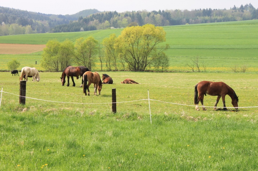 Impressionen aus unserer Heimat Lohra