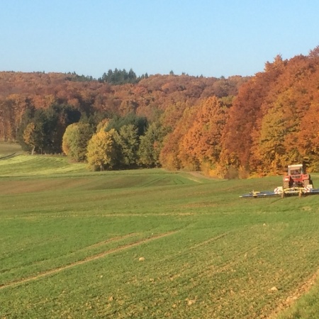 Größeres Bild ansehen