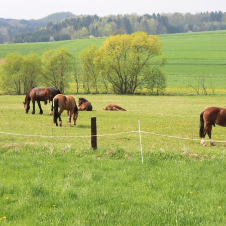 Größeres Bild ansehen